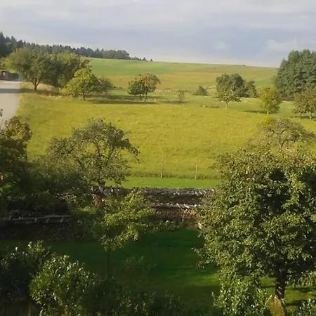 Anna - neue Ferienwohnung mit Blick ins Grüne Ober-Abtsteinach Exterior foto