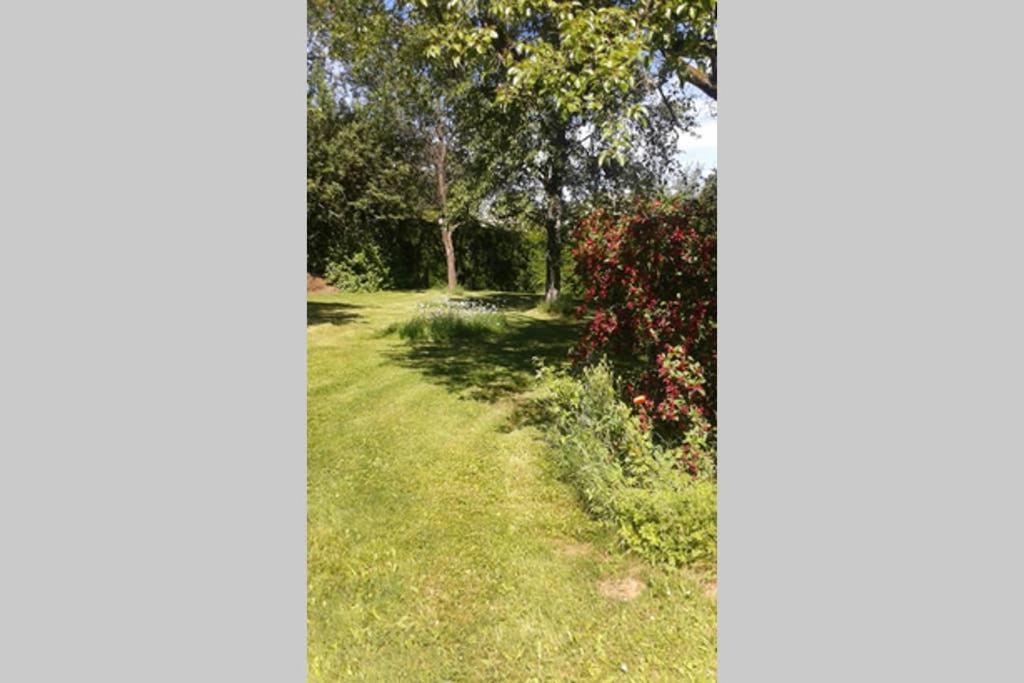 Apartment Anna - Neue Mit Blick Ins Gruene Ober-Abtsteinach