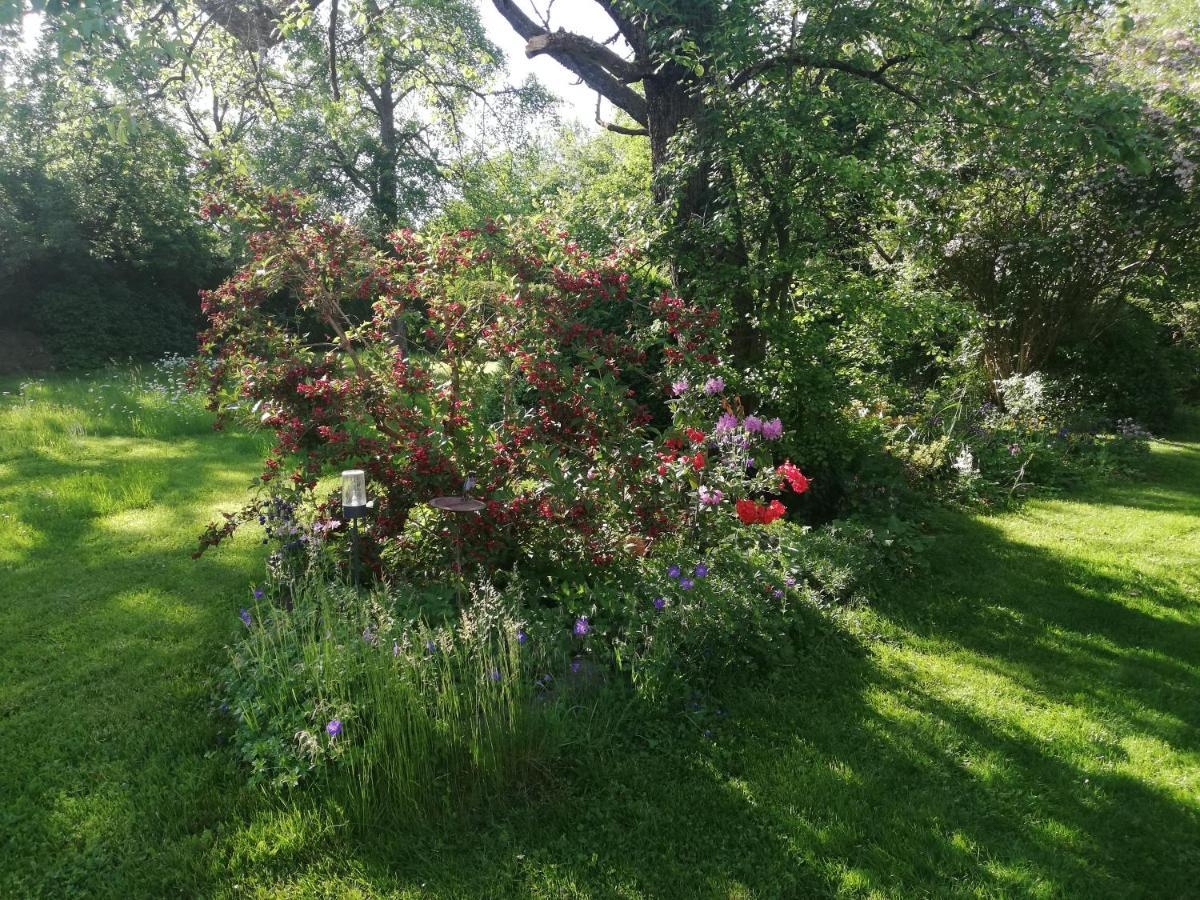 Anna - Neue Mit Blick Ins Gruene Apartament *