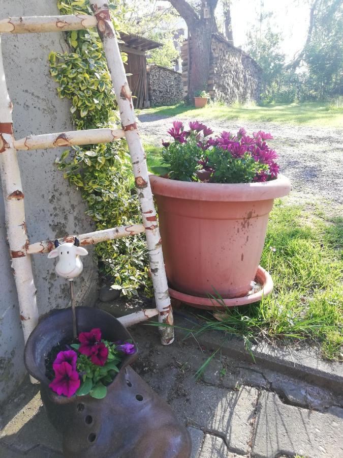 Apartment Anna - Neue Mit Blick Ins Gruene Ober-Abtsteinach