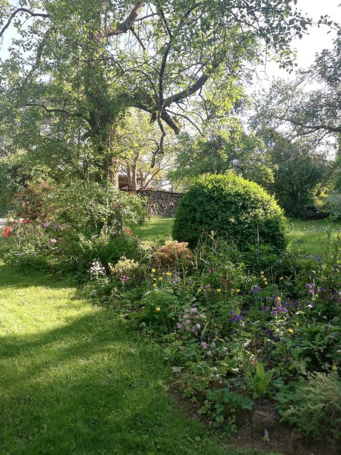 Apartament Anna - Neue Mit Blick Ins Gruene